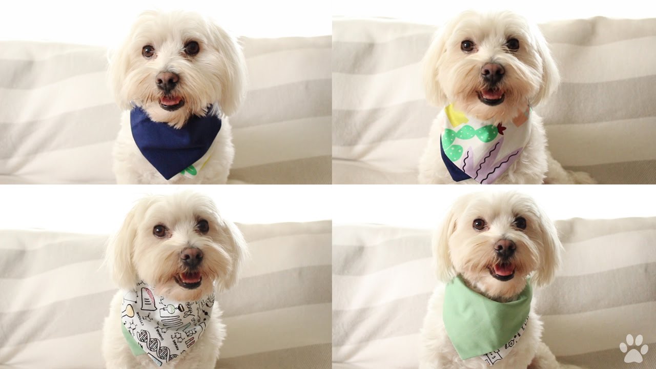Reversible Layered Dog Bandanas