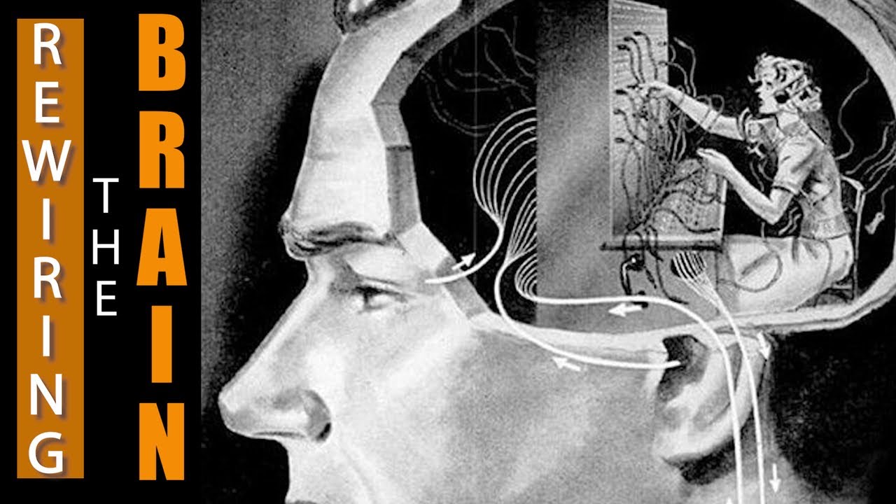 How ADDICTION REWIRES the BRAIN | Manipulating How We FEEL