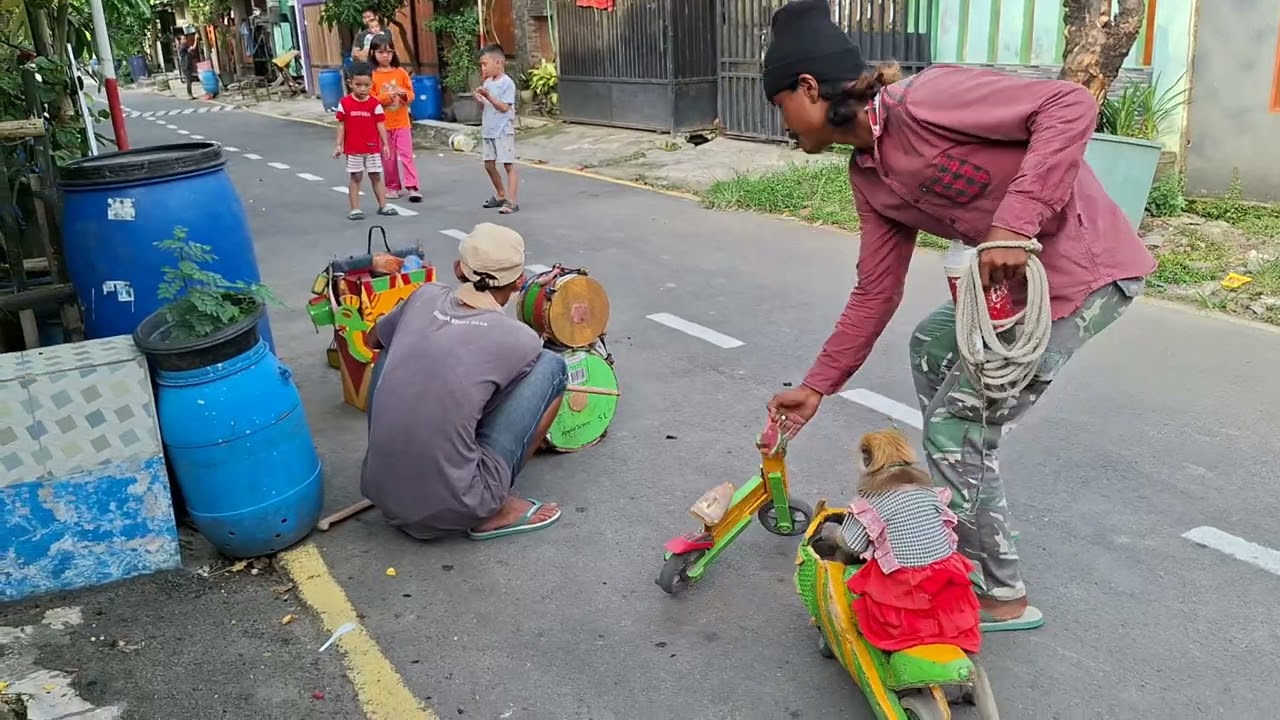 MONYET YANG PINTAR NYARI REJEKI #fypシ #shortvideo #topengmonyetlucu #topengmonyet 