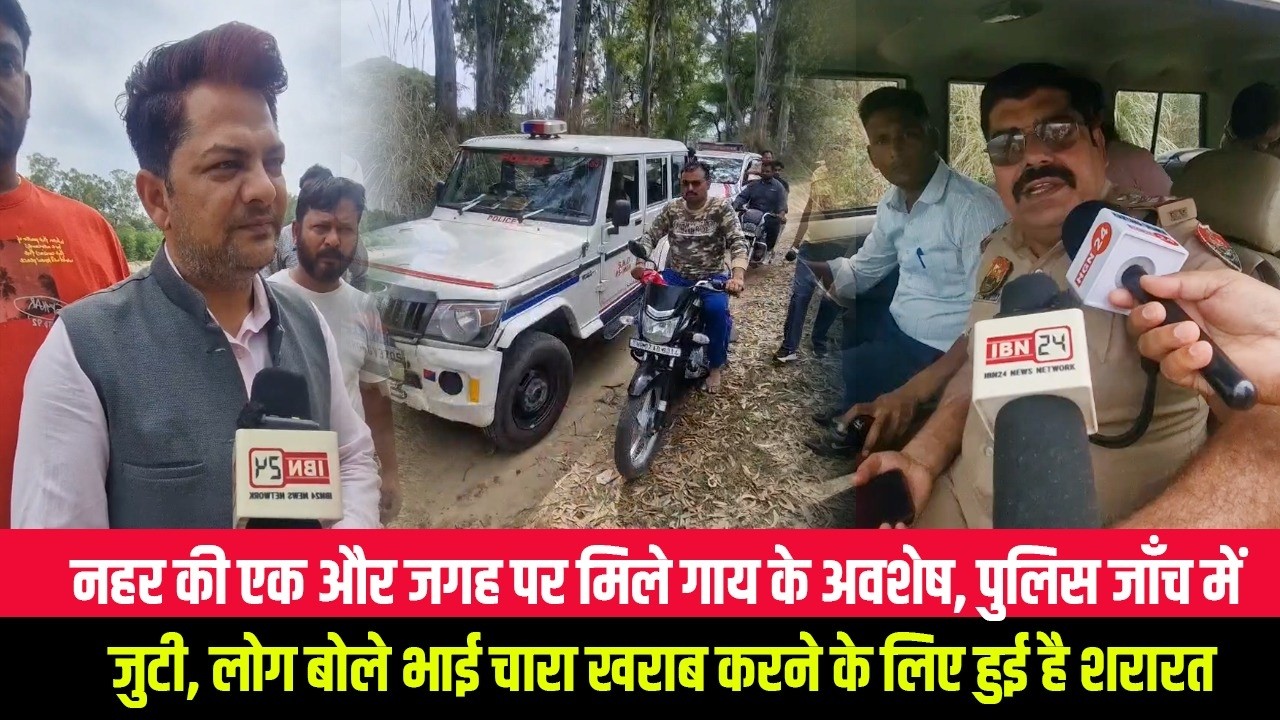 नहर की एक और जगह पर मिले गाय के अवशेष, पुलिस जाँच में जुटी, लोग बोले भाई चारा खराब