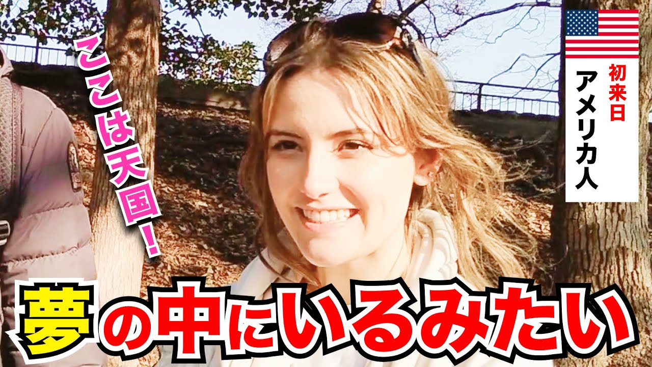 「ここは夢の国！」外国人観光客にインタビュー｜ようこそ日本へ！Welcome to Japan!
