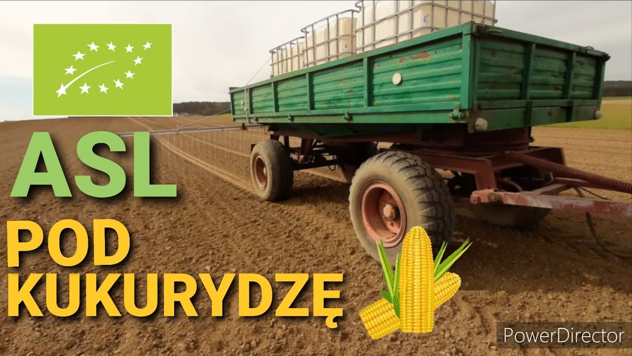 #2 🌽ASL pod Kukurydzę w Ekologii .  