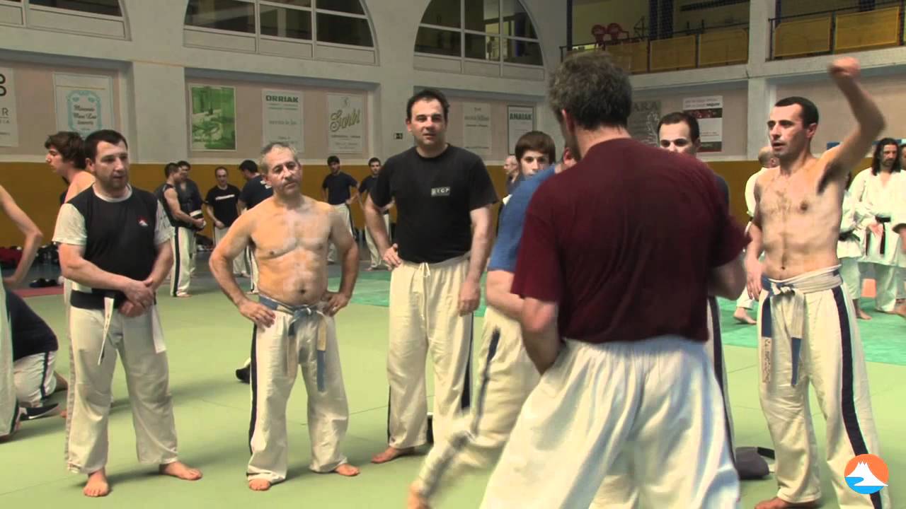 HIROO MOCHIZUKI YOSEIKAN BUDO STAGE BILBAO 2011
