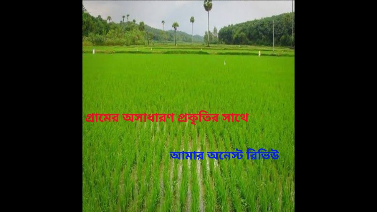 Natural beauty in Grameen,  গ্রামীণ জীবন