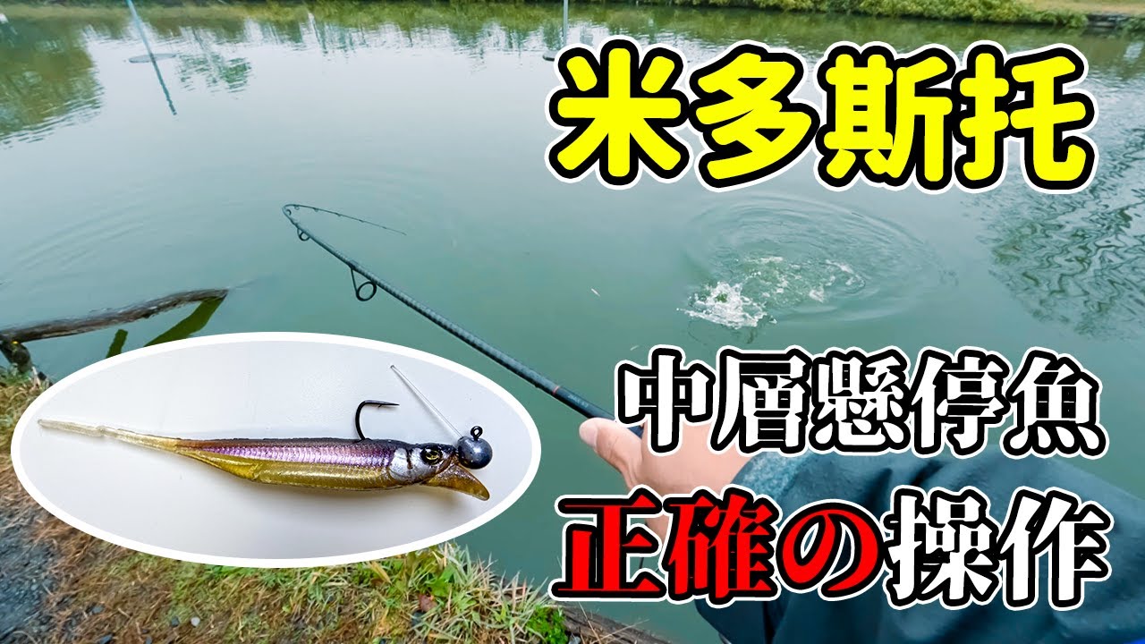 專攻中水層的汲鉤頭軟魚米多斯托，這兩年在日本超級火