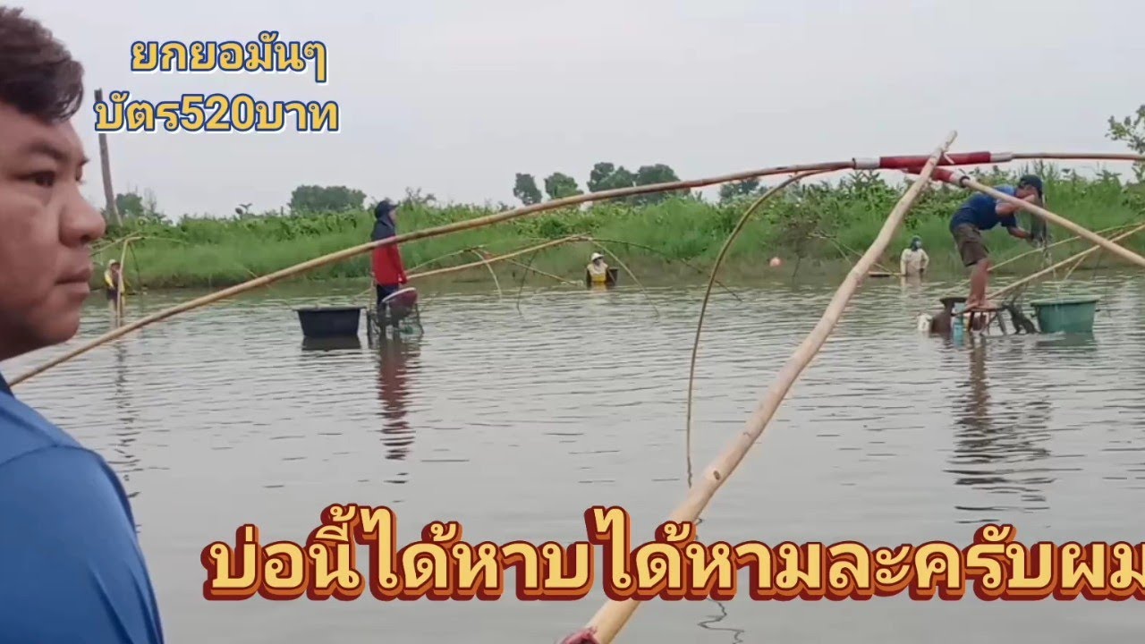#ยกยอ#บ่อเหมา#ปลาเยอะมาก   ยกยอมันๆ บัตร520บาท ได้หาบได้หาม @ดนัยสถานไม่ได้ไม้