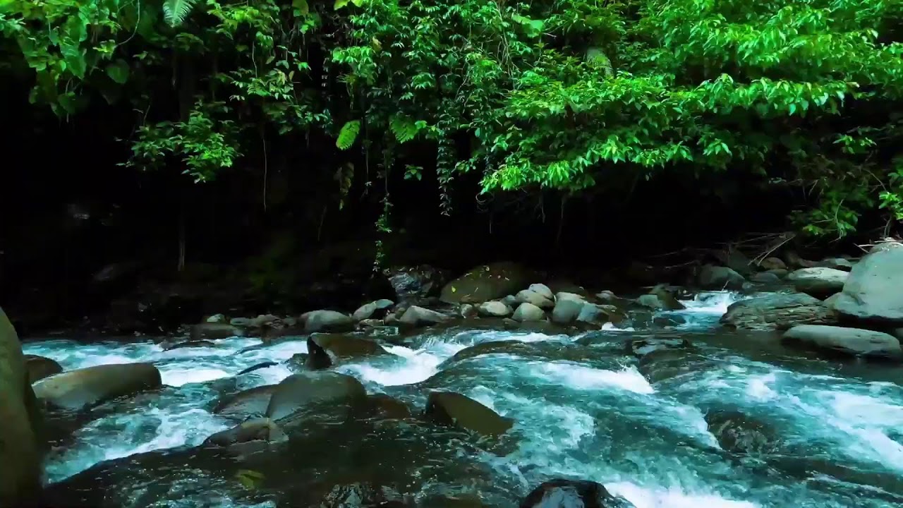 Dark Jungle River Flow – Deep Sleep Nature Sound with Rushing Water Sound