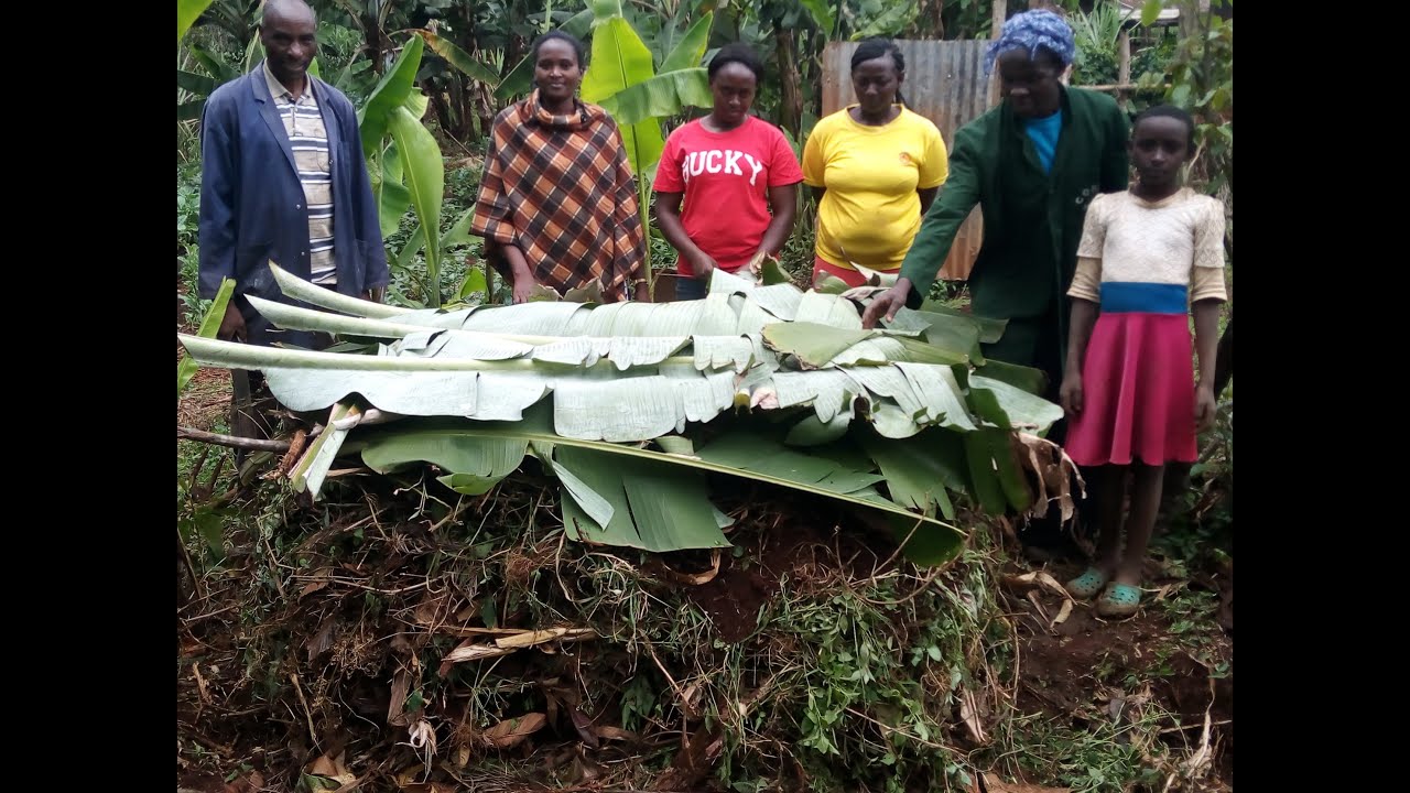 Making Compost Manure