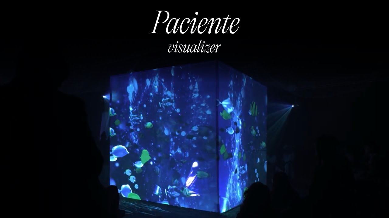Juliana - Paciente (Visualizer)