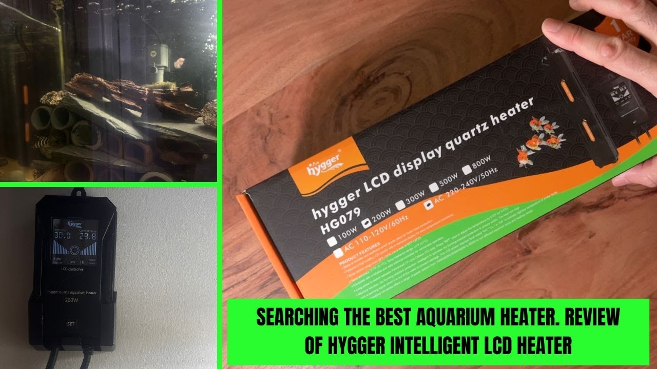 Searching the best aquarium heater. Review of Hygger Intelligent LCD Heater