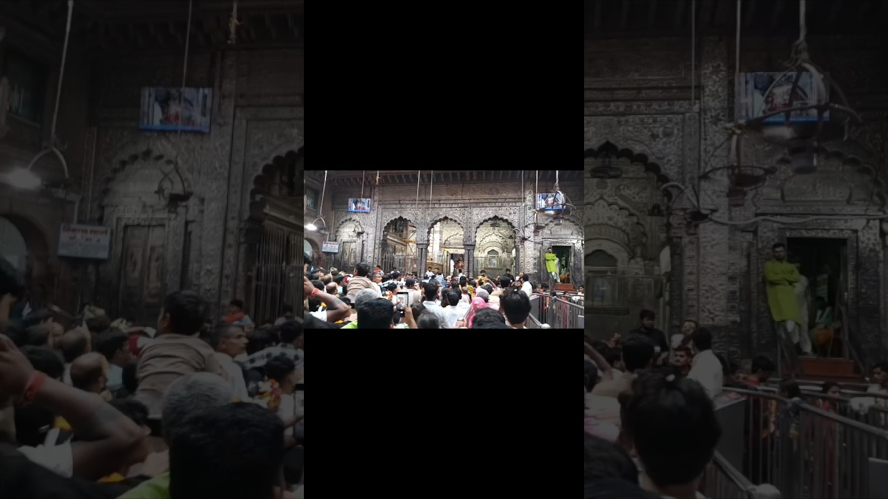 bihari ji ke darshan 😍😍😍 #theup81alok #minivlog