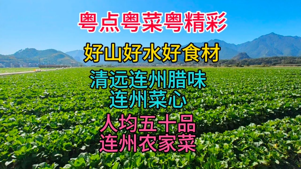 粤点粤菜粤精彩，好山好水好食材，清远连州腊味连州菜心，人均五十品连州农家菜，粤语中字幕2023-12-9