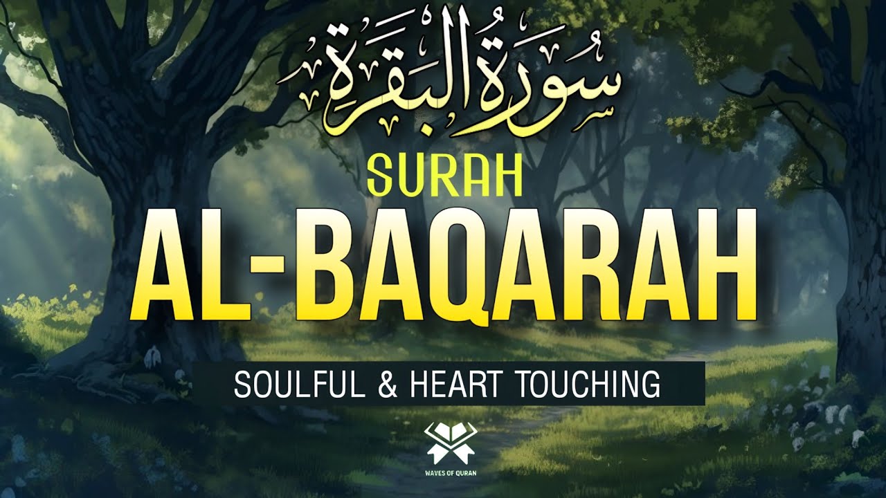 Surah Al-Baqarah (سورة البقرة) Full | Beautiful Quran Recitation for Peace, Healing & Blessings 