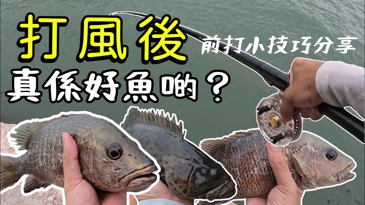 三號風球後黑吉前打釣行+釣組分享 | 4K #香港釣魚 #前打 #ヘチ釣り#紅鮋