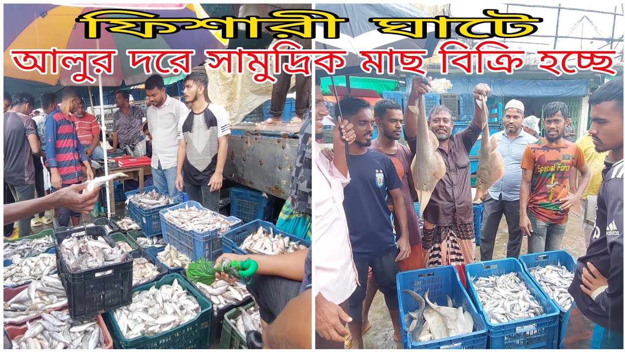 ফিশারী ঘাটের সামুদ্রিক মাছ আলুর দরে বিক্রি হচ্ছে কম দামে।Sae Fish|Fishery Ghat|Chattogram