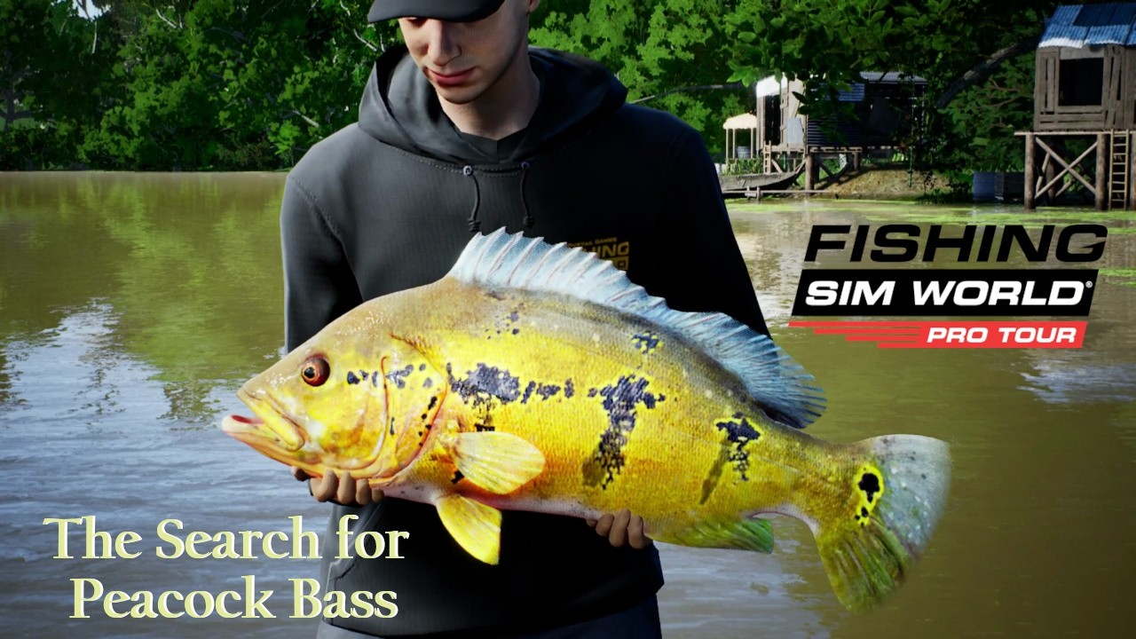 Figuring out Peacock Bass in Fishing Sim World