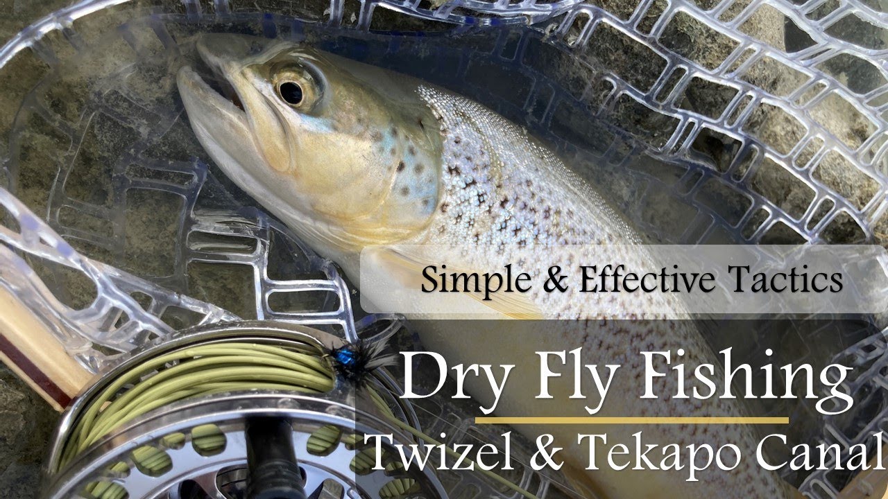 How to fly fish the Twizel & Tekapo Canal with Dry Flies-Simple & Effective Tactics for Brown Trout