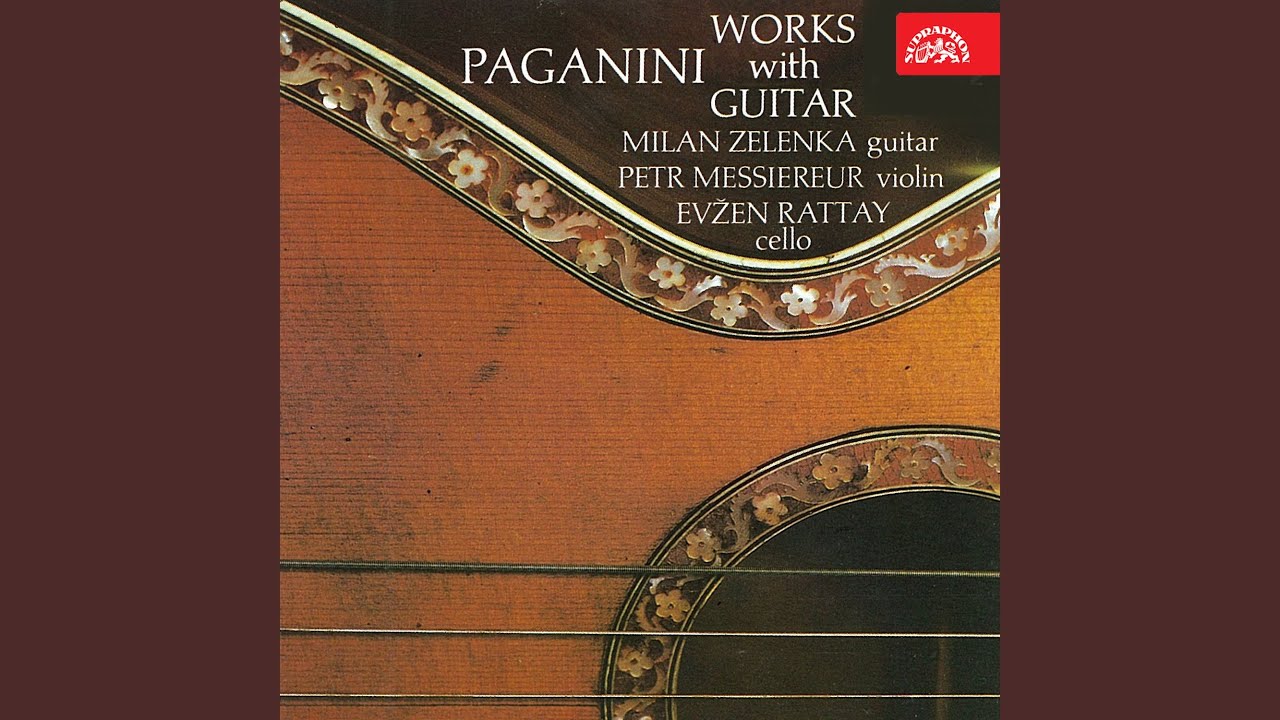 Grande Sonate for Guitar and Violin - Allegro risoluto
