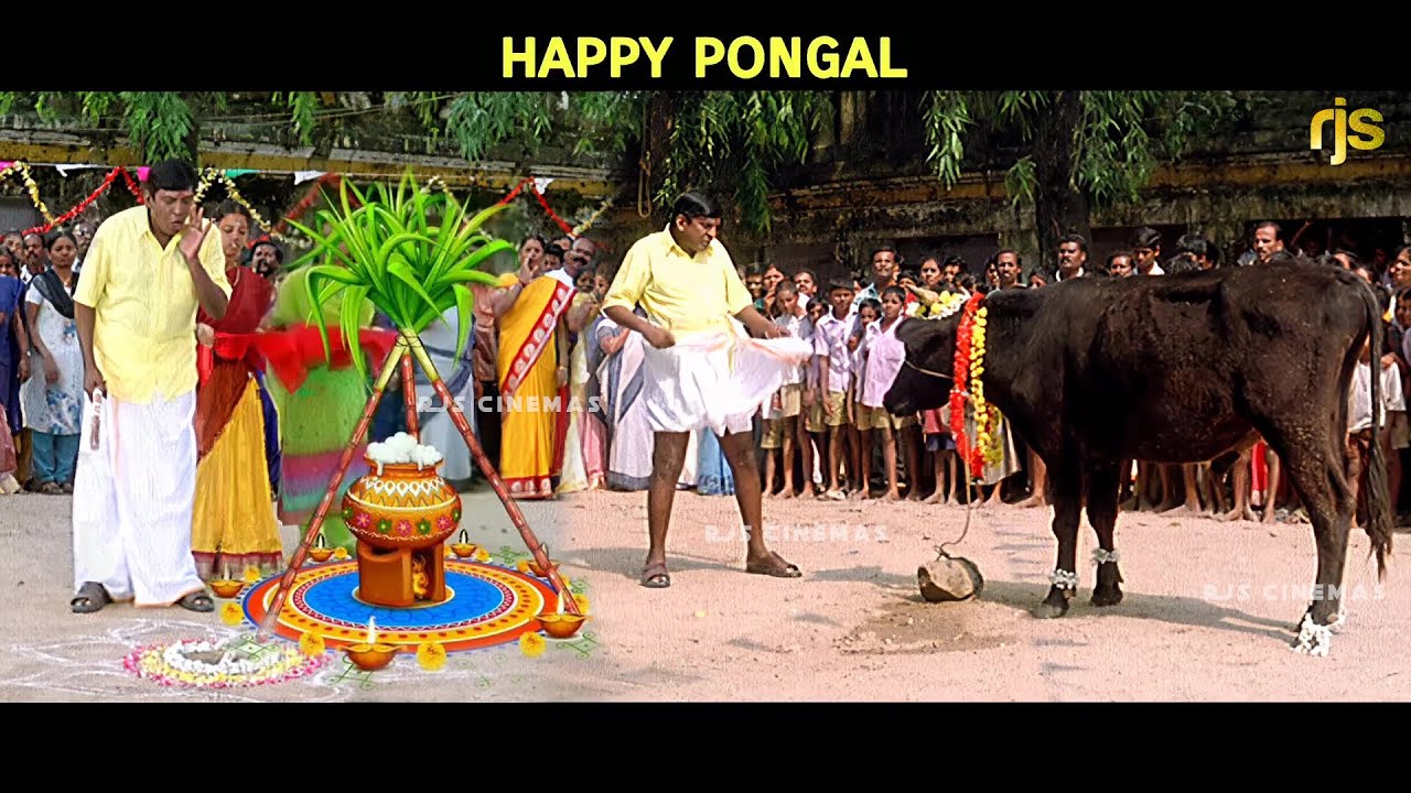 Happy Pongal | Vadivelu Version | மதுரை Mike Tyson - வைகை புகழ் - மாடு பிடி போட்டி #Vadivelu #Comedy