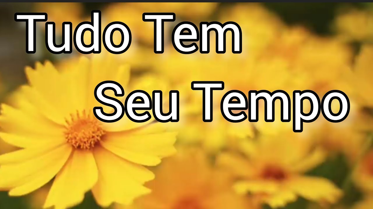 Tudo Tem Seu Tempo | Louvor Suave Inspirado em Eclesiastes 3 | Som da Alma
