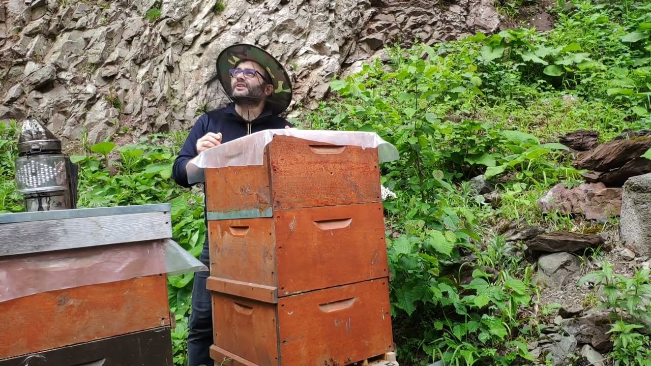 Izgara üzerine iki kat ballık. 3. katını verdiğim arı oğul eğiliminde hem de bir kasa bal toplamış.