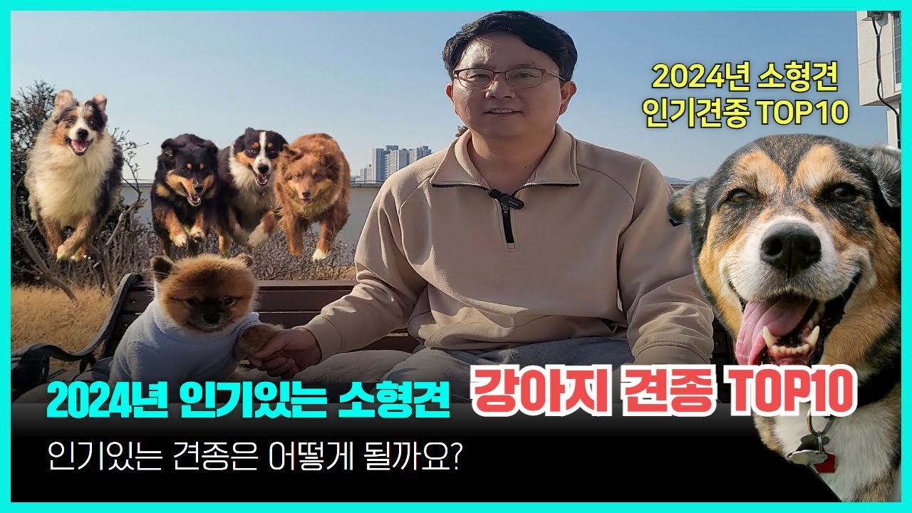 2024년 인기있는 소형견 강아지 견종 TOP10