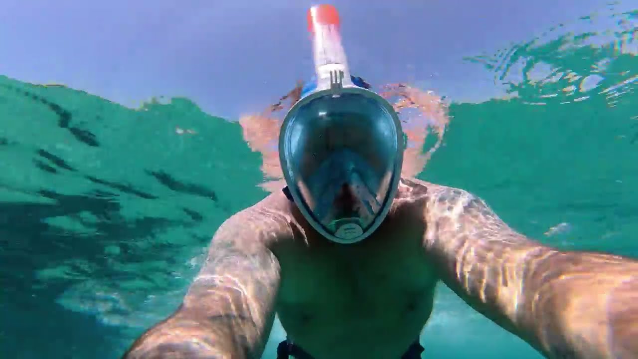 Snorkelling in las Americas Tenerife 