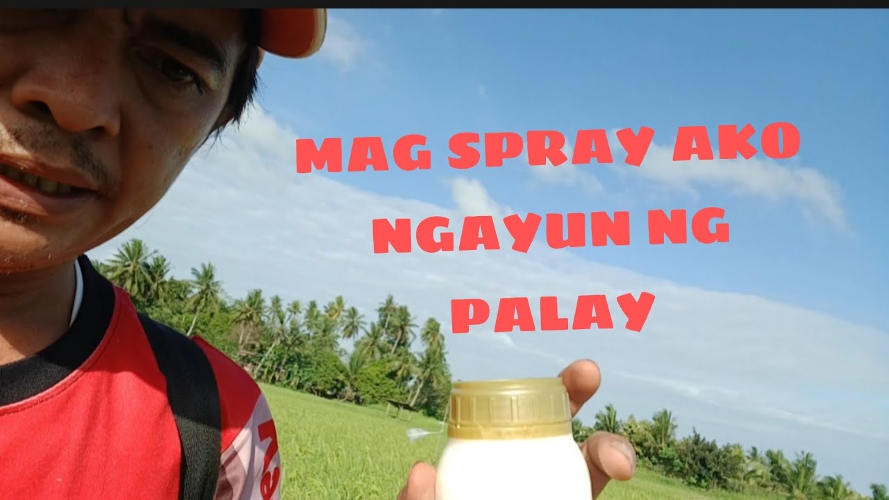 MAG SPRAY AKO NG PALAY GUYS