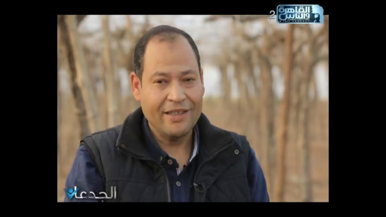 شاهد فى الجدعان   أسرار زراعة العنب بالصوب البلاستيكية بأعلى انتاجية وجودة عالمية