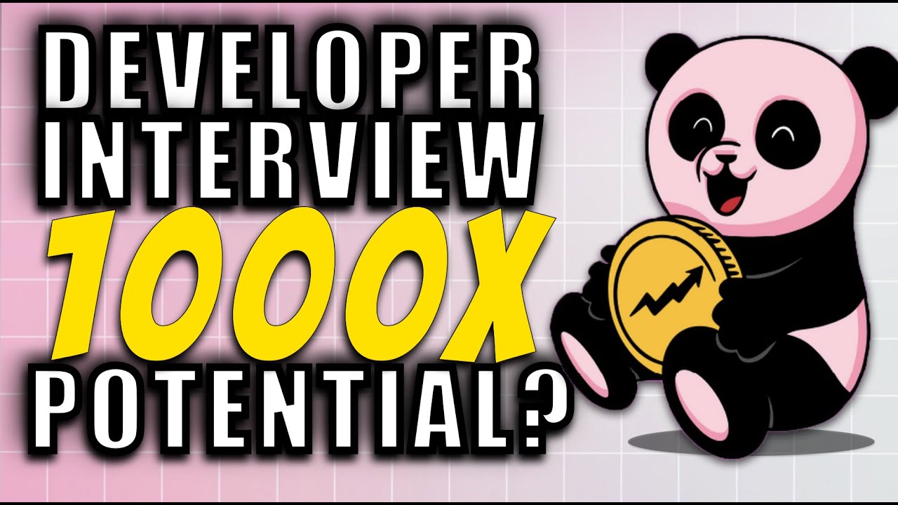 Pink Panda Finance Developer Interview - 1000x Potential?