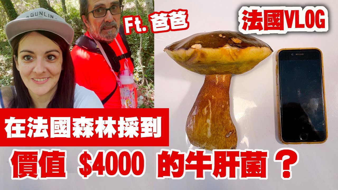 法國鄉下生活超棒～這個香菇超級貴❗️ ❗️帥爸 / 可愛Emma / 法國Anna 一起去找～會不會失敗？ 法國 VLOG