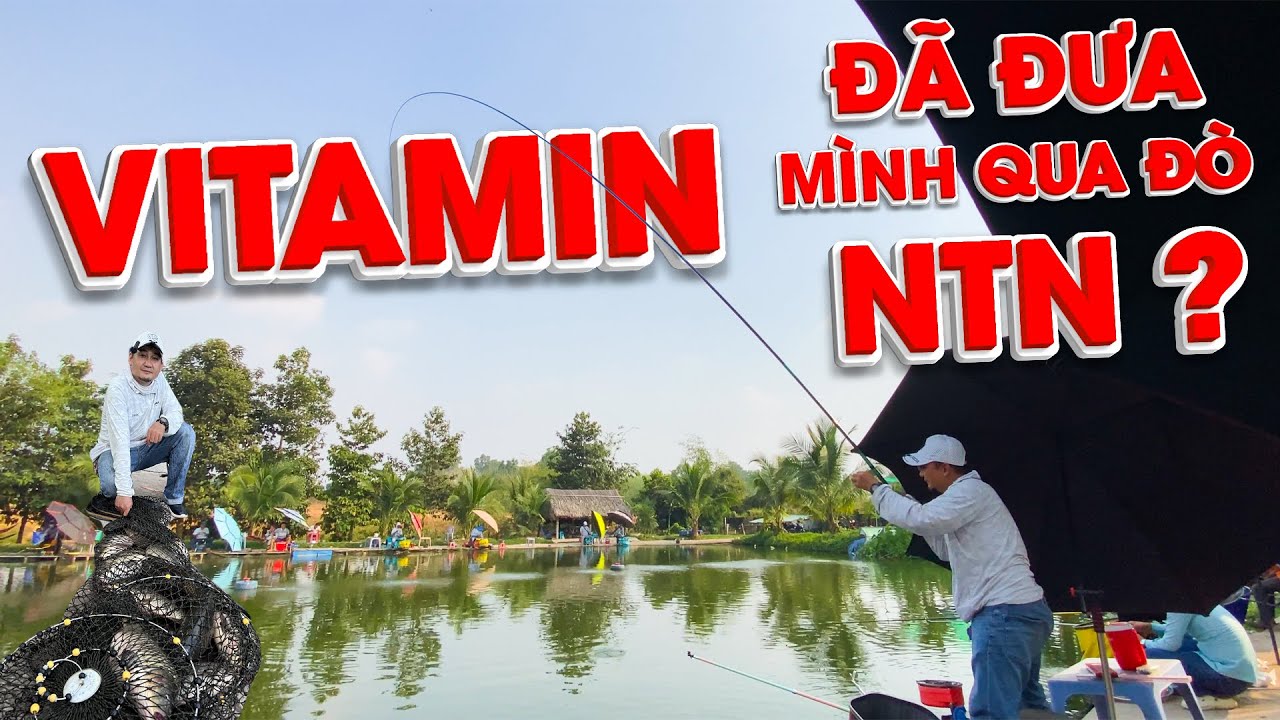 Hồ Câu Thành Phước - Cá Chịu Vitamin Lắm Nha.