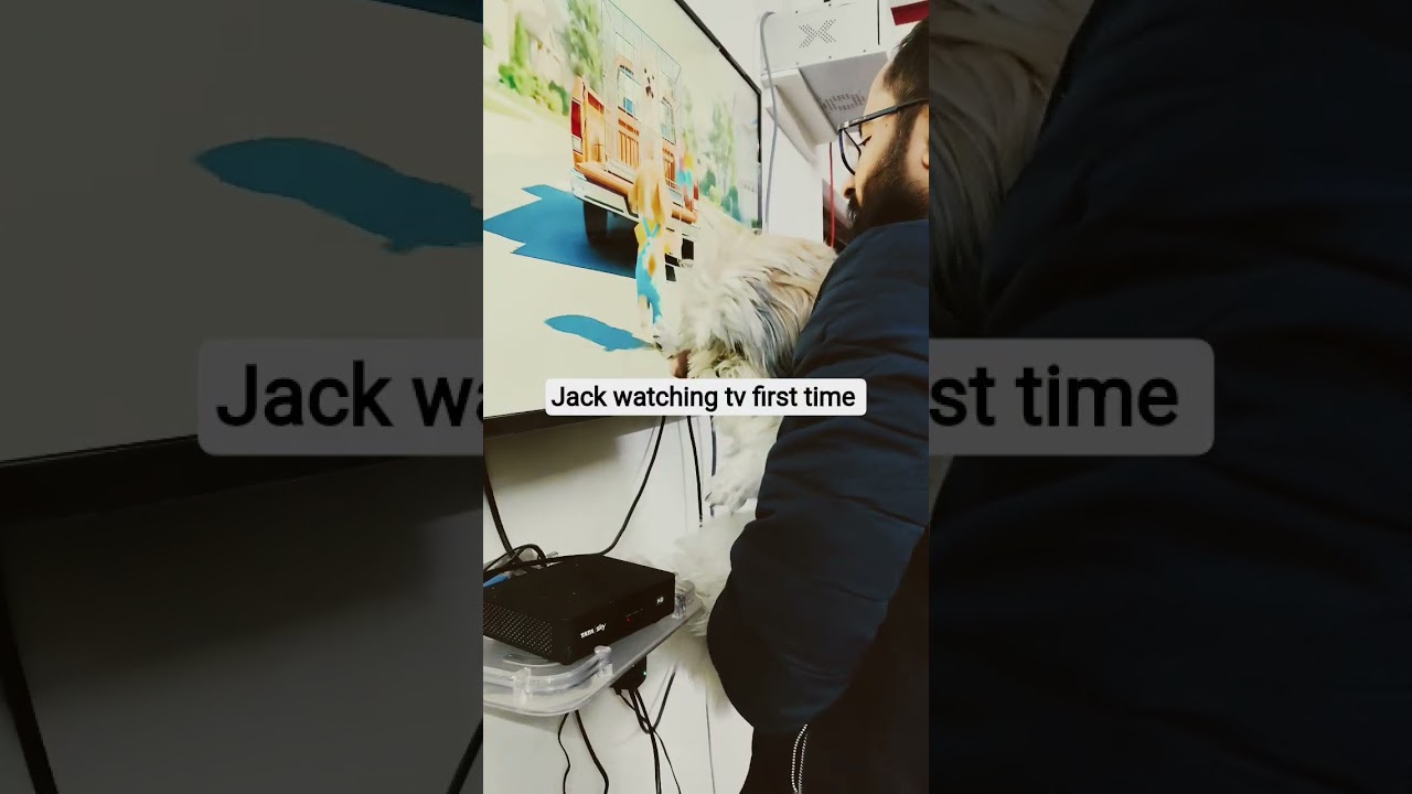 #shortsvideo