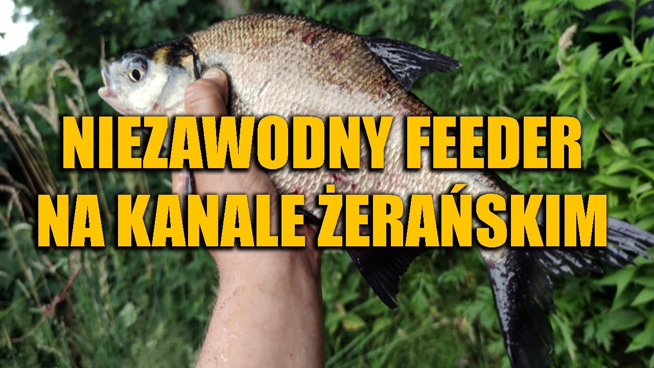 NIEZAWODNY FEEDER NA KANALE ŻERAŃSKIM