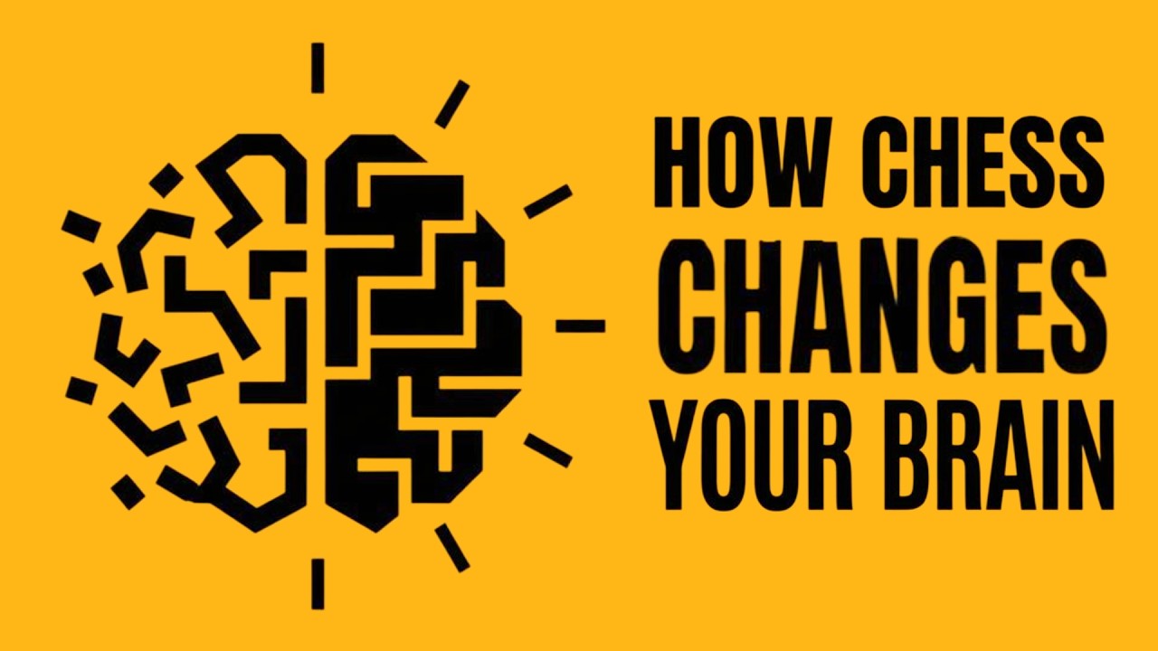 Chess Sharpens Focus Better Than Any App And Here's Why | To Chess and Beyond