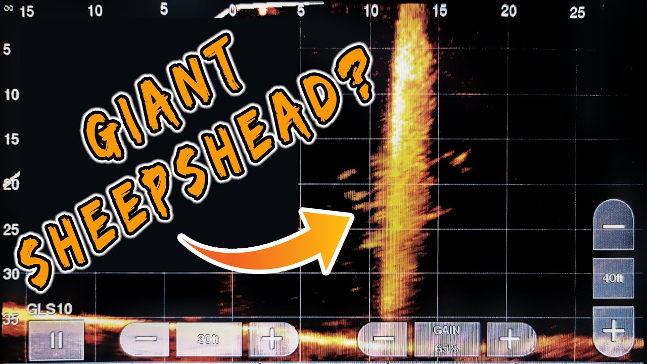 Is Garmin Livescope Effective for Sheepshead Fishing?