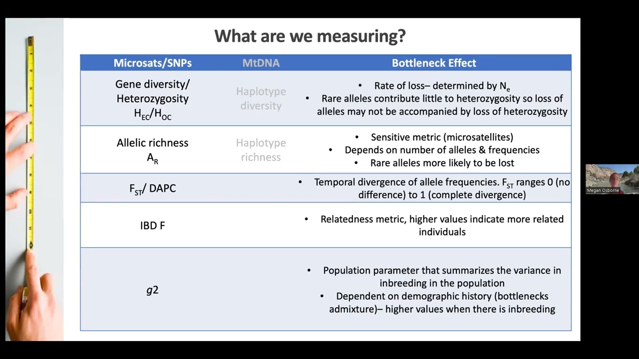 Collaborative Seminar (Osborne): Genetic Monitoring of the RGSM
