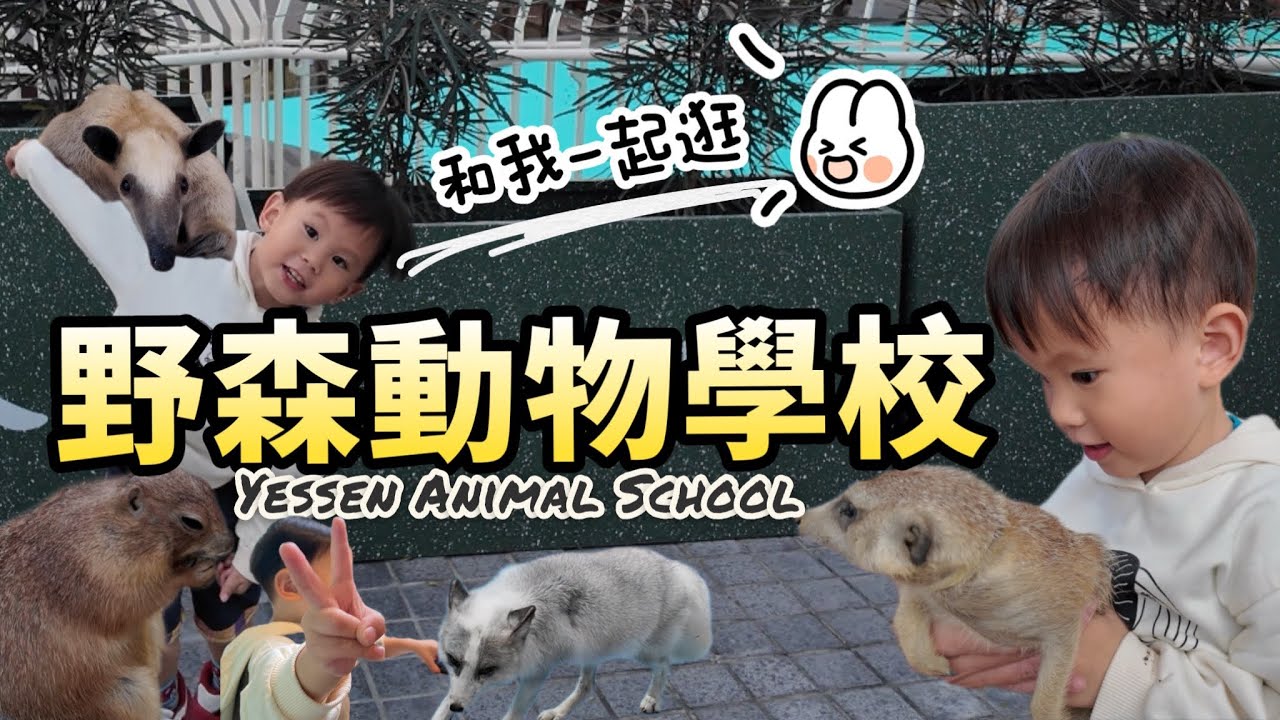 『高雄新開幕』我在野森動物學校和動物玩整天～開門必拿沙丘部落號碼牌！還有大人小孩都能玩的遊戲區從開園玩到閉園整個離不開