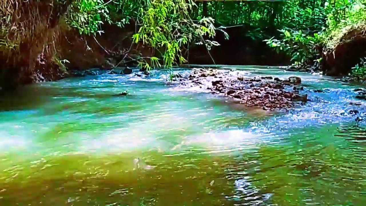 Exploring the hidden secret of this mysterrious river