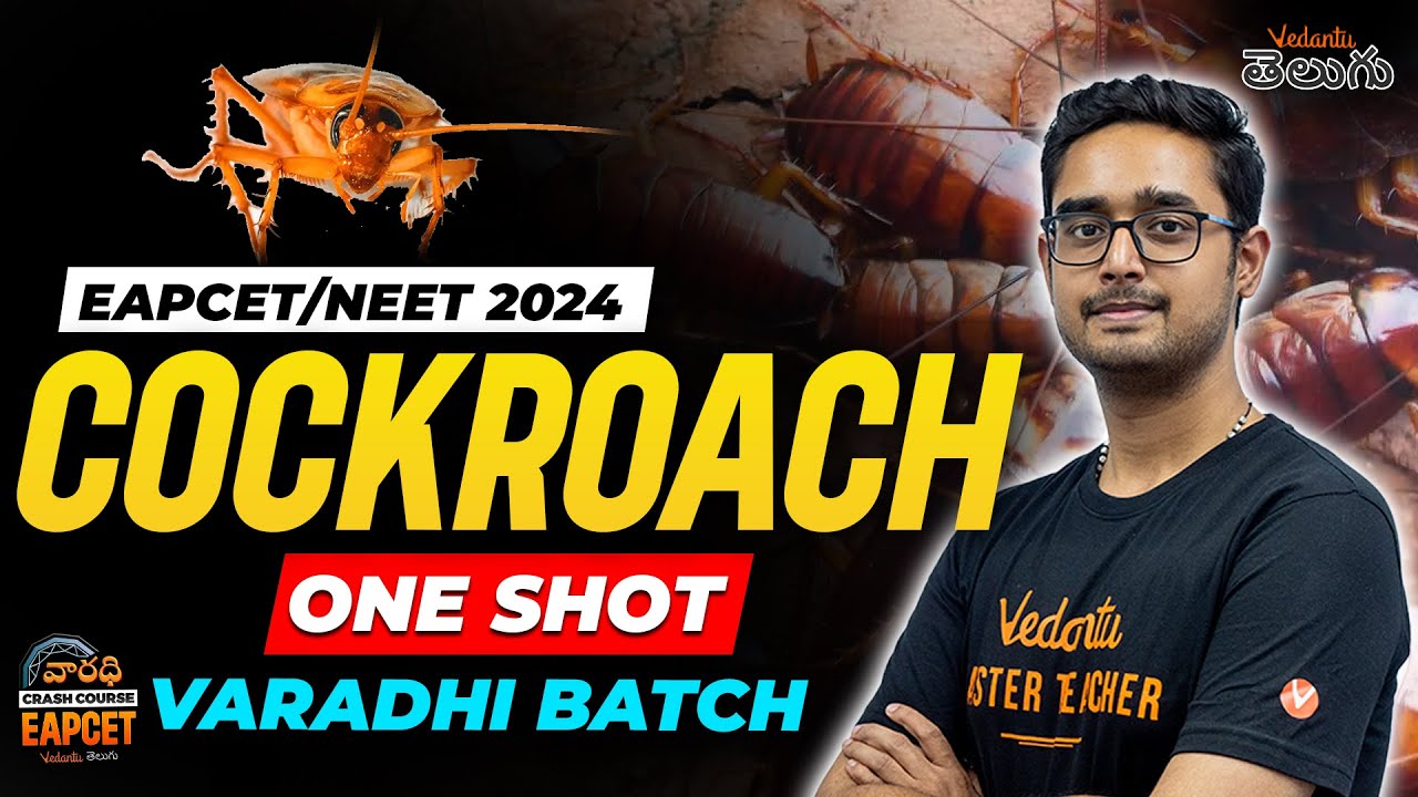Cockroach | Periplanata americana | Type Study | EAPCET 2024 | NEET 2024 | Ajay Sir | Vedantu Telugu