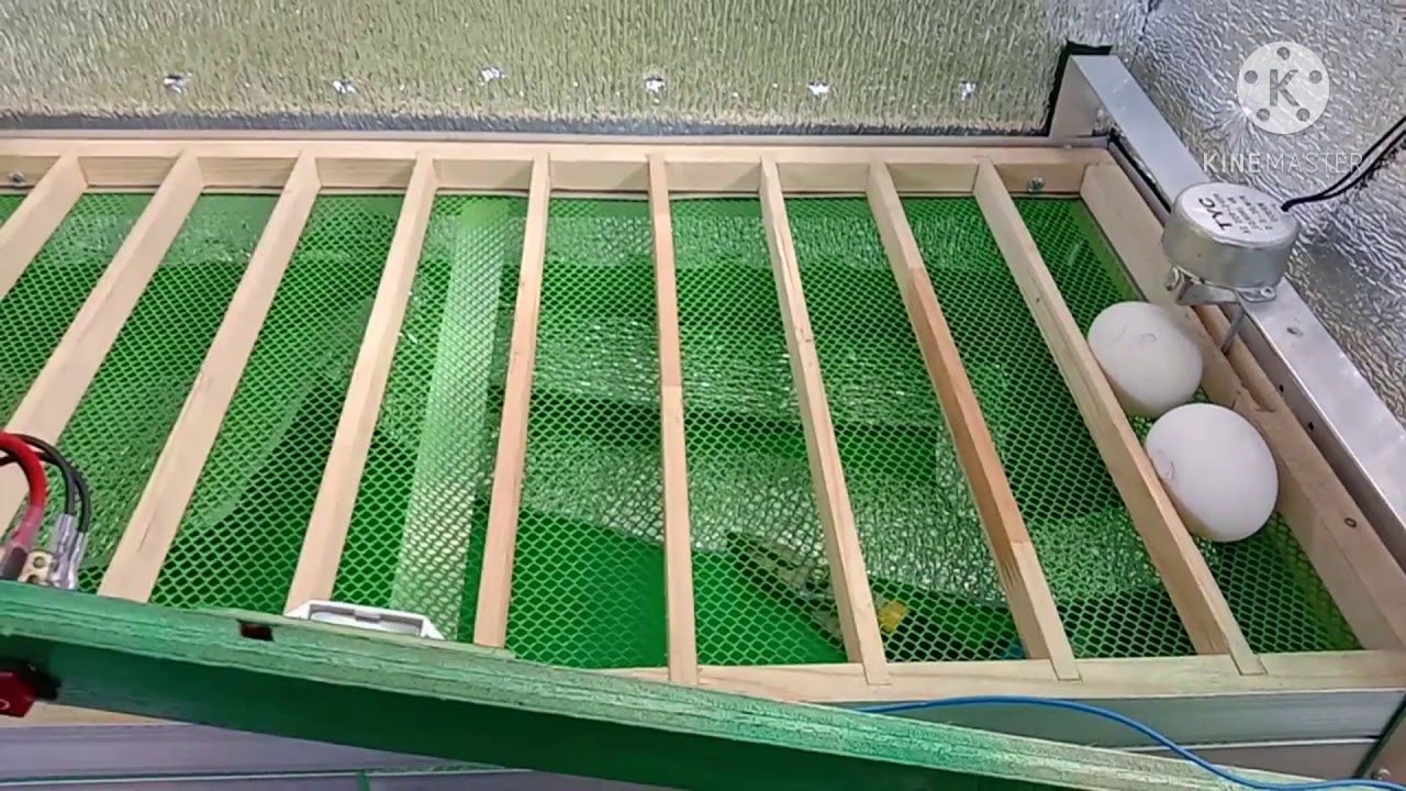 50 capacity roll type automatic incubator