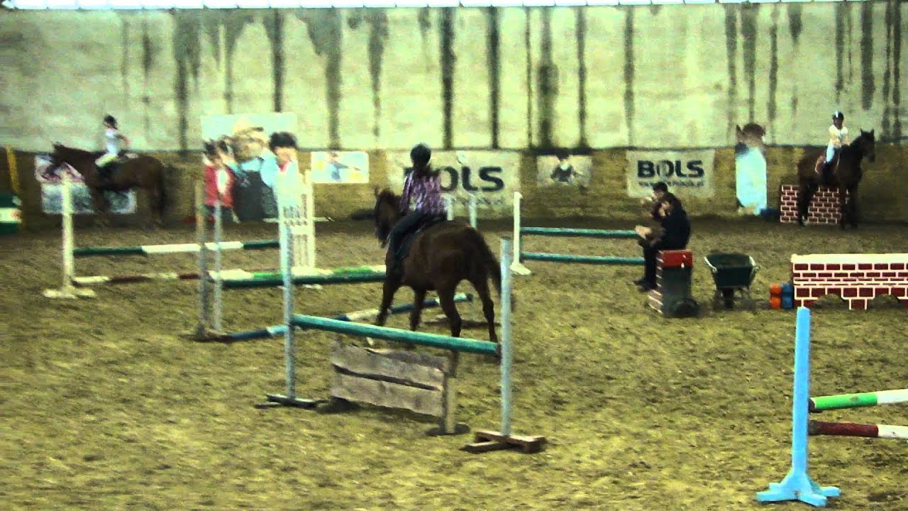 Ob&oacute;z konny Lalin 2011 - Zawody
