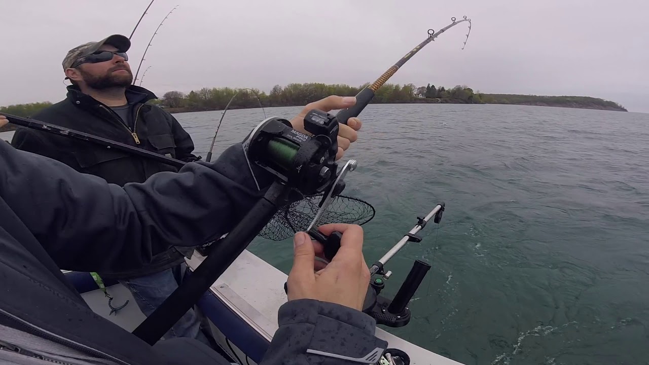 Sodus Bay Fishing May 12 2018 Browns and Kings