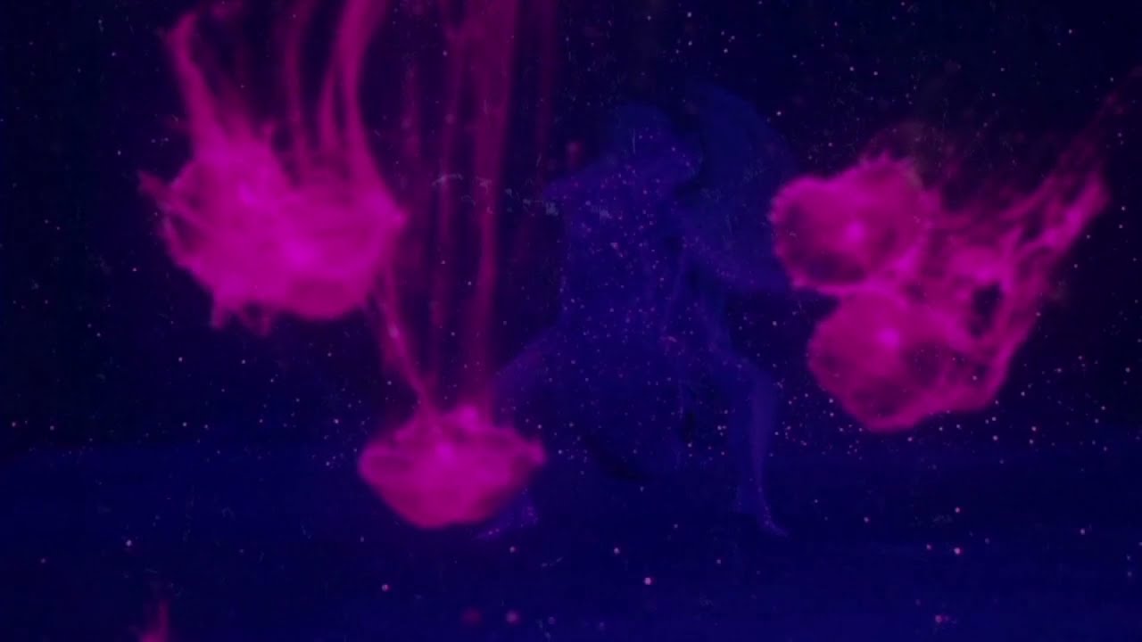 Anea - Czarna Matko (video)