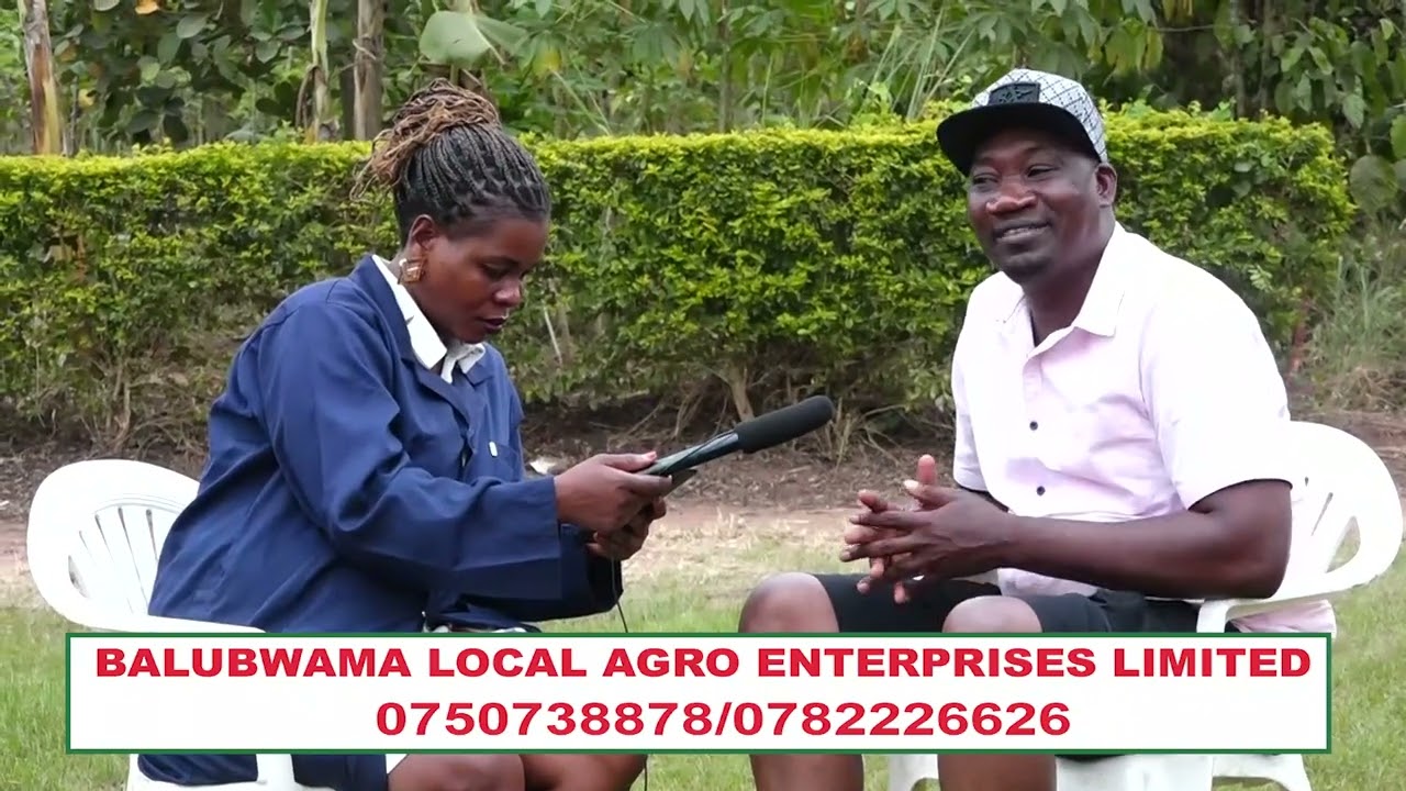 Okuddamu Ebibuuzo Byamwe Ba customer Baffe
