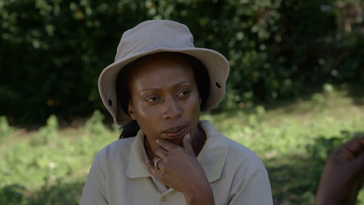 Shamba Shape Up Sn 8 - Ep 9: Broiler Chicken, Potatoes, Cabbages (English)