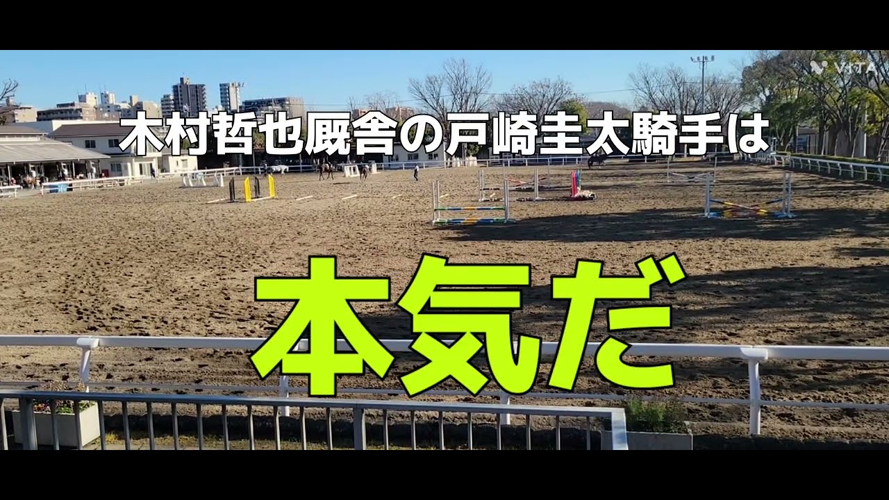 東京新聞杯(GⅢ)の予想