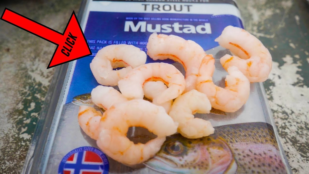 Как поймать форель на креветки из продуктового магазина (ДЕШЕВО И ПРОСТО!)
