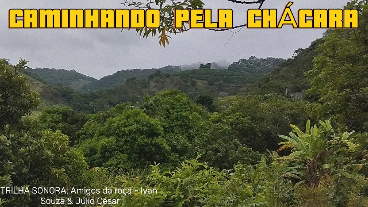 CAMINHANDO PELA CHÁCARA