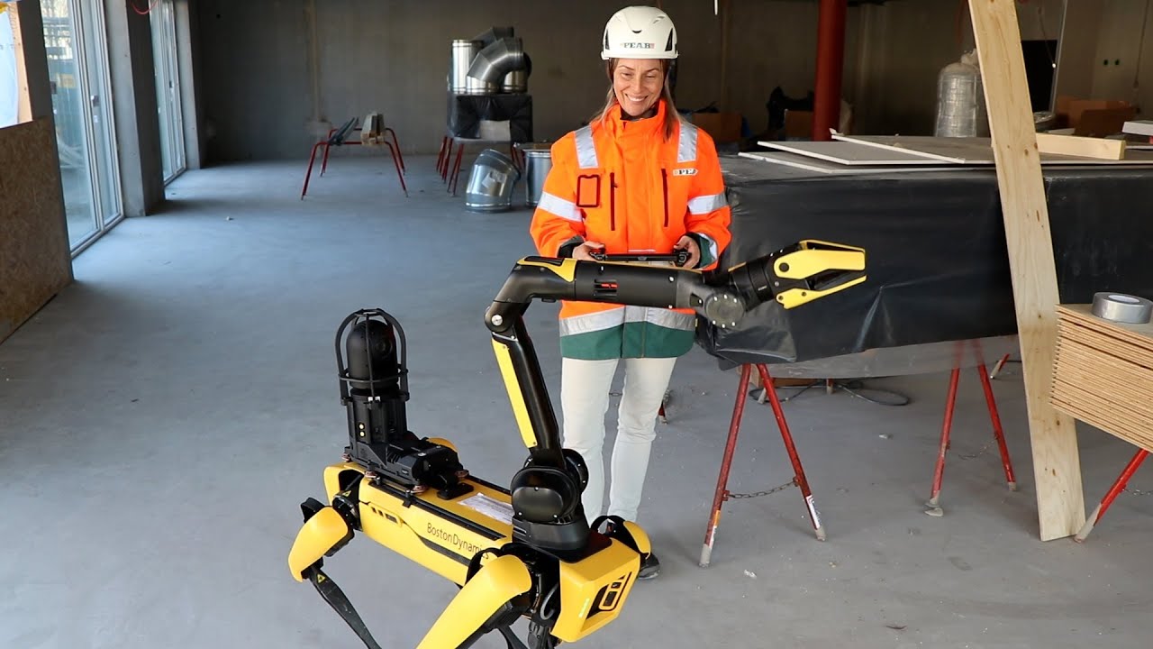 Robuthunden Buster har f&aring;tt en arm
